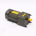 110v/220v AC Gear Motor for assembly line